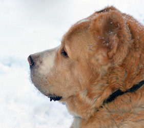 Similar image 7507505