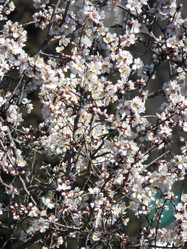 Similar image 7507509