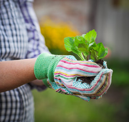 Similar image 7507526