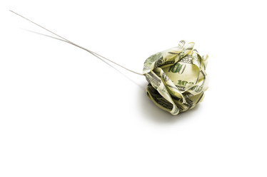 Similar image 7507538