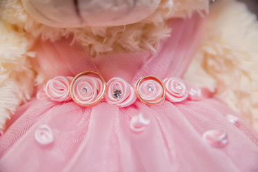 Similar image 7507567