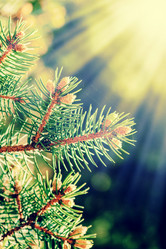 Similar image 7507590