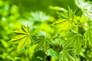 Similar image 7507593