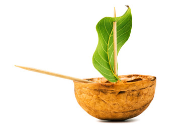 Similar image 7507599