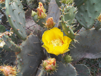 Similar image 7507642