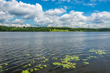 Similar image 7507699