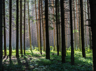 Similar image 7507702