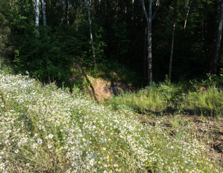 Similar image 7507703