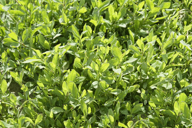 Similar image 7507792