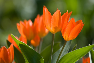 Similar image 7507801