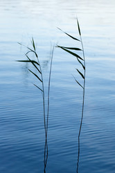 Similar image 7507809