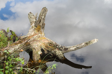 Similar image 7507813