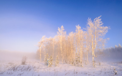 Similar image 7507874