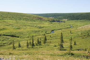 Similar image 7507941