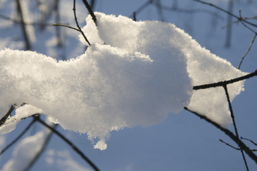 Similar image 7507947