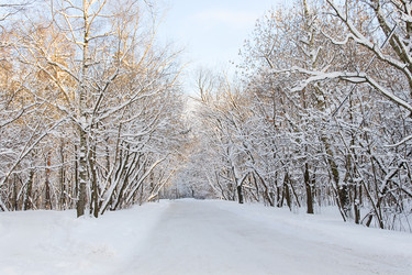 Similar image 7507949