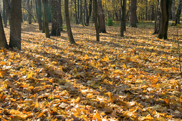 Similar image 7507951