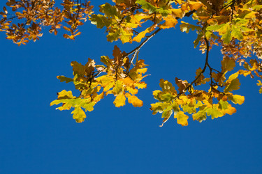 Similar image 7507978