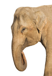 Similar image 7507997