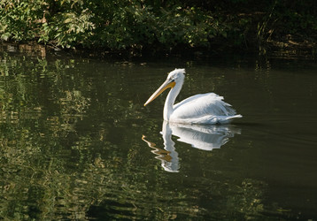 Similar image 7508010