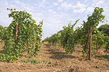 Similar image 7508043