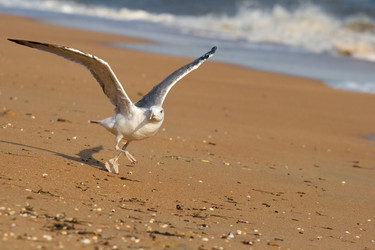 Similar image 7508060