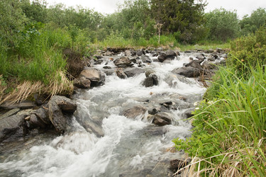 Similar image 7508079