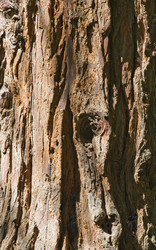 Similar image 7508101