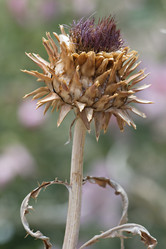 Similar image 7508114