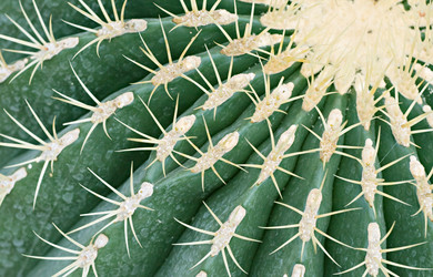 Similar image 7508116