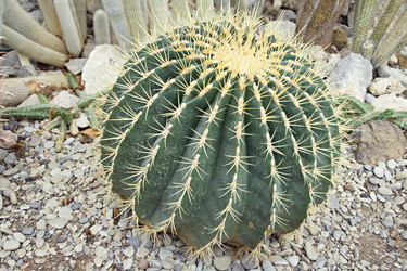 Similar image 7508118