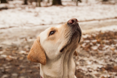 Similar image 7508156