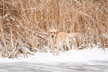 Similar image 7508159