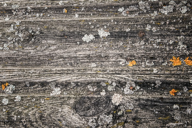 Similar image 7508170