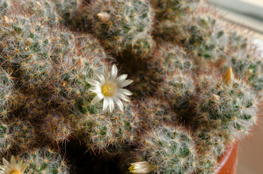 Similar image 7508178