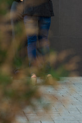 Similar image 7508196