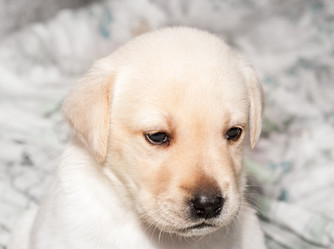 Similar image 7508228