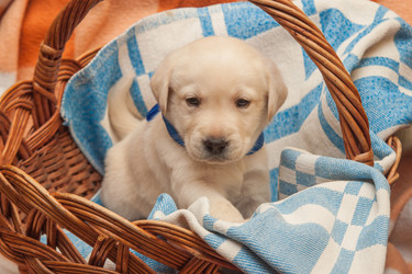 Similar image 7508235