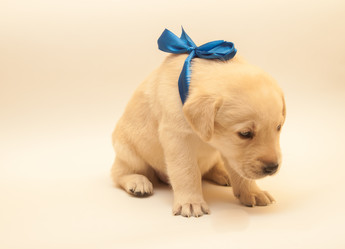 Similar image 7508259