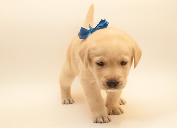 Similar image 7508260