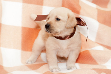 Similar image 7508261