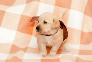 Similar image 7508262