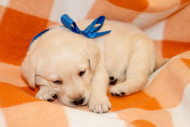 Similar image 7508263