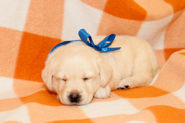 Similar image 7508265