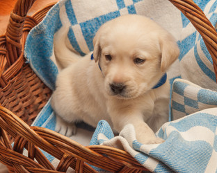 Similar image 7508266