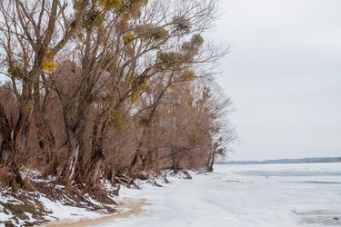 Similar image 7508269