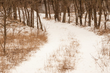 Similar image 7508271