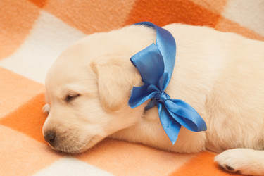 Similar image 7508284