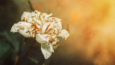 Similar image 7508415