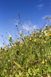 Similar image 7508528